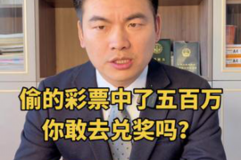 沙坪坝遇到恶意拖欠？专业追讨公司帮您解决烦恼