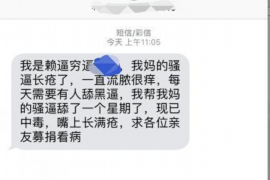 沙坪坝为什么选择专业追讨公司来处理您的债务纠纷？